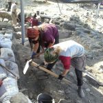 תלמידי הגולן חופרים בחוף כורסי המסגרת פרוייקט בתי הכנסת בגולן