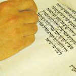 פרשת השבוע – נצבים – הברית והתשובה