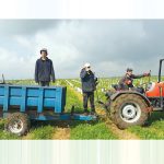 נוער הגולן מתנדב