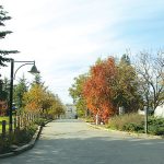 לחיות בקהילה, זה כל הסיפור