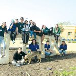 מי מכוון את התנועה?