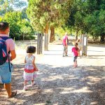 טיולי קיץ למשפחות בימי שישי עם "אשכולות" וקק"ל