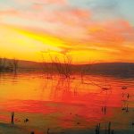 "כנרת – ים של חיים"