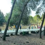 צועדים יחד בשבילי הגולן