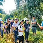 מגשר אריק למפרץ אמנון