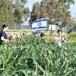 דור העתיד של החקלאיות צומח בגולן