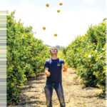 כדורים באוויר