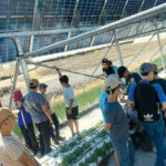 חקלאות חדשנית בקייטנה