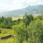 ניצחון בעין פית