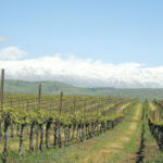 טרואר גולני