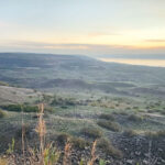 שיקום אקולוגי