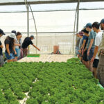 אודיסאה באבני איתן: כשהמדע יוצא אל השטח