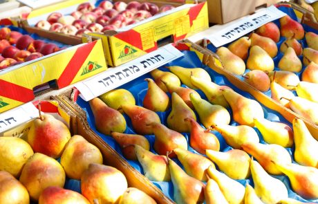זני פירות חדשים, המפותחים בגליל ובגולן, יכבשו את השווקים